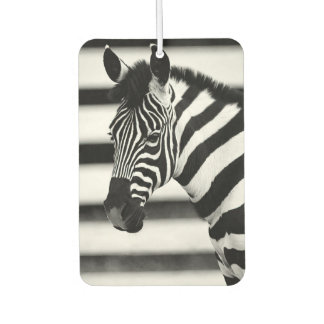 Zebra Autolufterfrischer