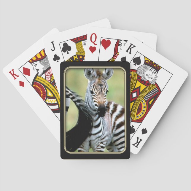 Zebra Baby Foto Spielkarten (Rückseite)
