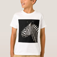 Zebra Black and White Stripes Animal