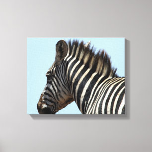 Zebra blaue Leinwand