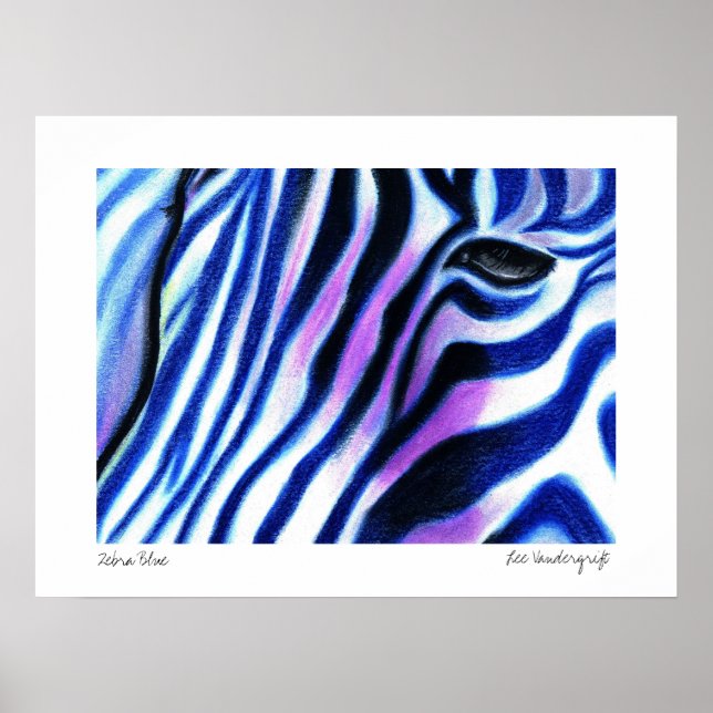 Zebra Blue Poster von Lee Vandergrift (Vorne)