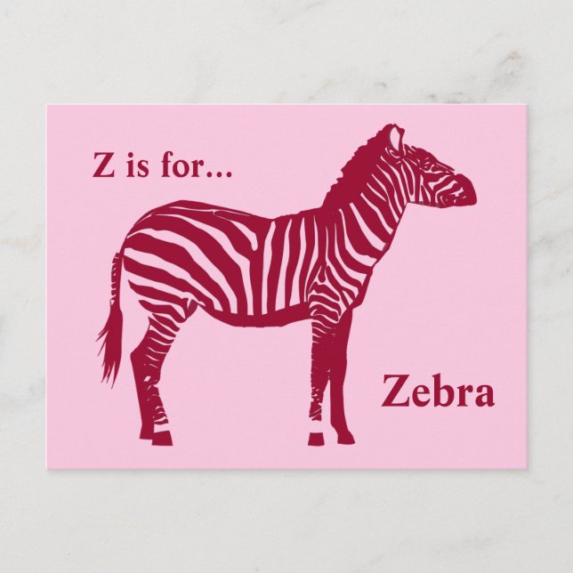 Zebra - Burgund und Rosa Postkarte (Vorderseite)