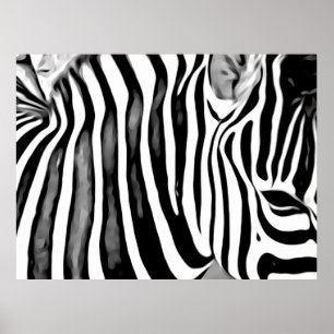 Zebra close up poster