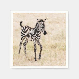 Zebra Colt Serviette