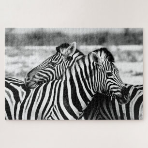 Zebra Couple in schwarz-weiß, Jigsaw Puzzle