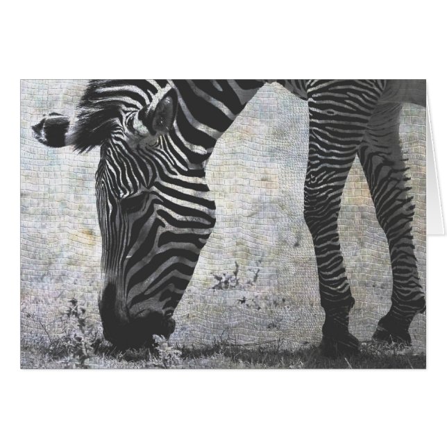 Zebra Crackle (Devant horizontal)