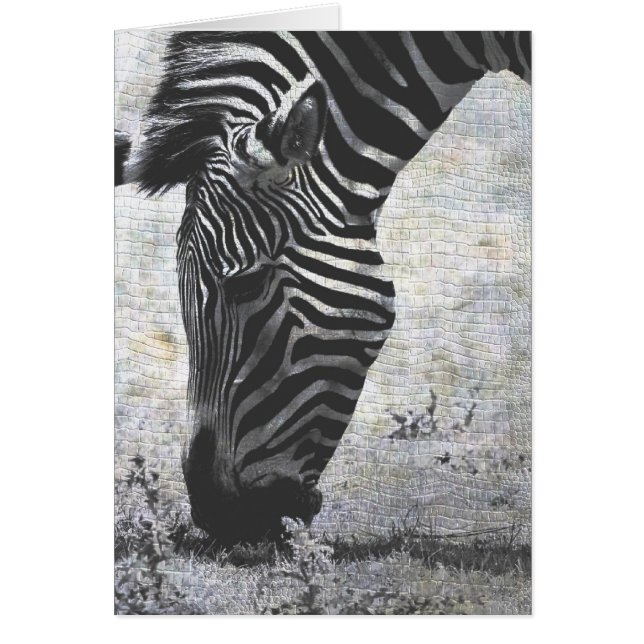 Zebra Crackle (Devant)