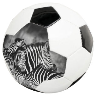 Zebra-Dazzle Fußball