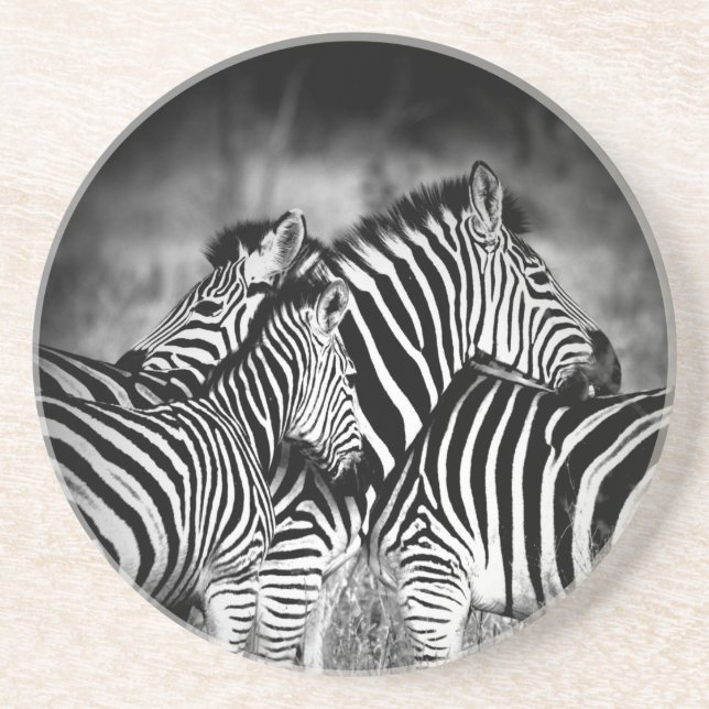 Zebra-Dazzle Getränkeuntersetzer (Vorne)