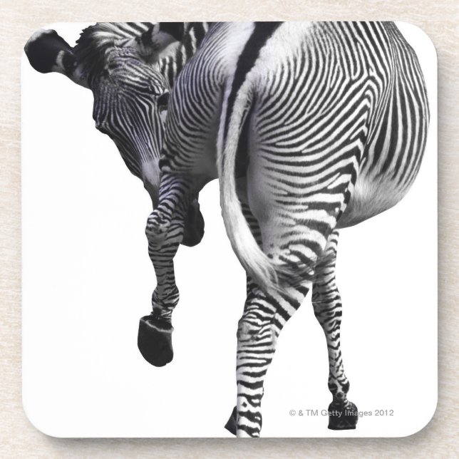 Zebra, der sich herum dreht untersetzer (Vorderseite)