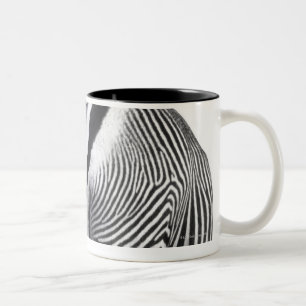 Zebra, der sich herum dreht zweifarbige tasse
