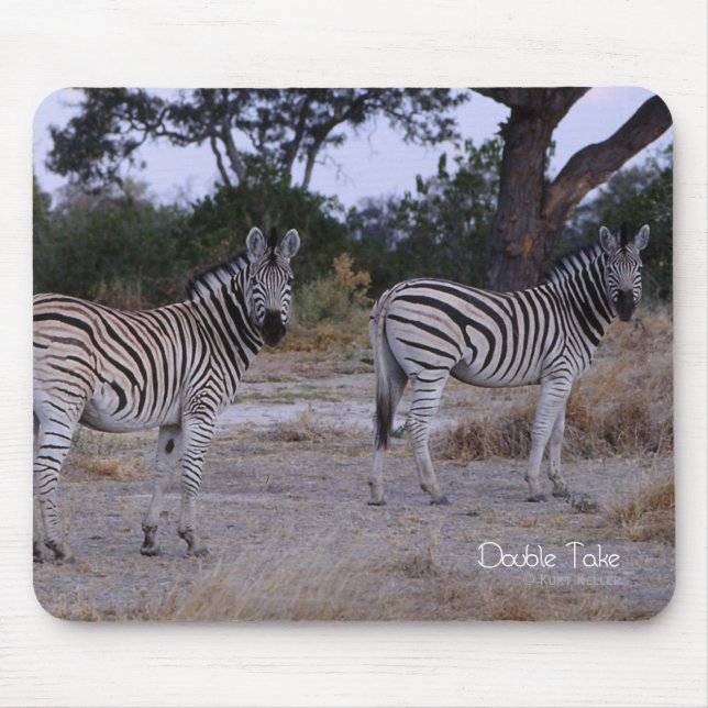 Zebra Double Take Foto Mousepad (Vorne)