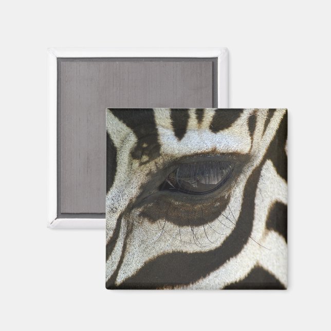 Zebra Eye Magnet (Vorderseite/Rückseite)