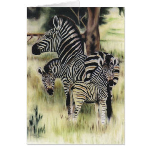 "Zebra-Familie "