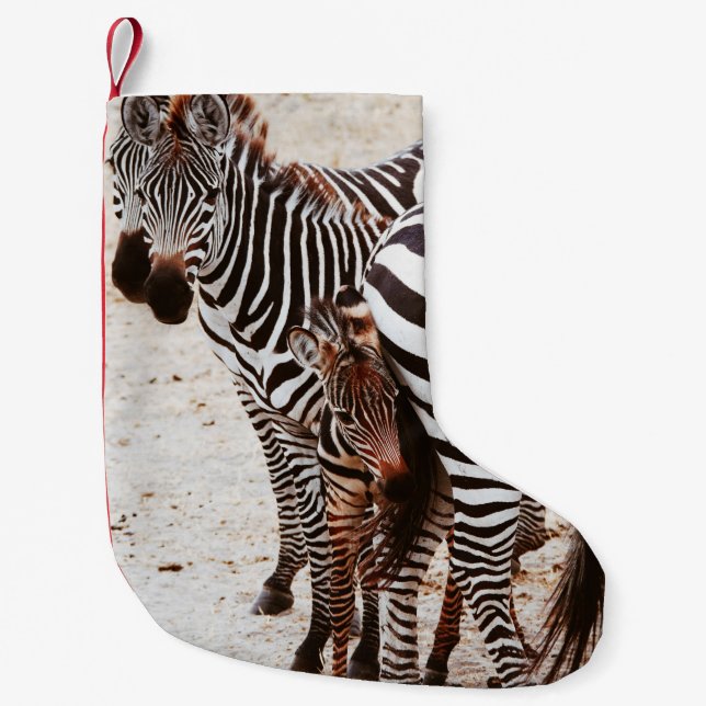 ZEBRA FAMILY KLEINER WEIHNACHTSSTRUMPF (Vorderseite)