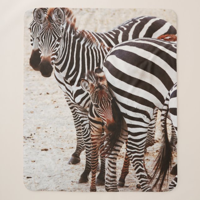 ZEBRA FAMILY SHERPADECKE (Vorderseite)