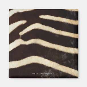 Zebra-Fell Magnet