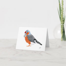 Zebra Finch