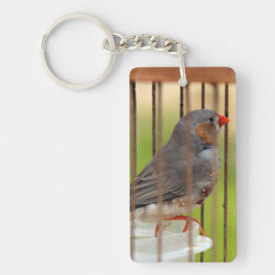 Zebra Finch Bird in Cage Schlüsselanhänger