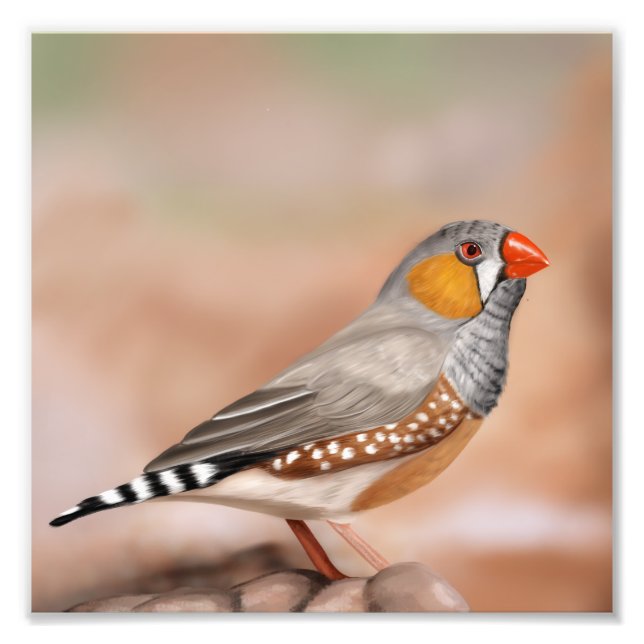 Zebra Finch Bird Museo Cantonale d'Arte Fotodruck (Vorne)