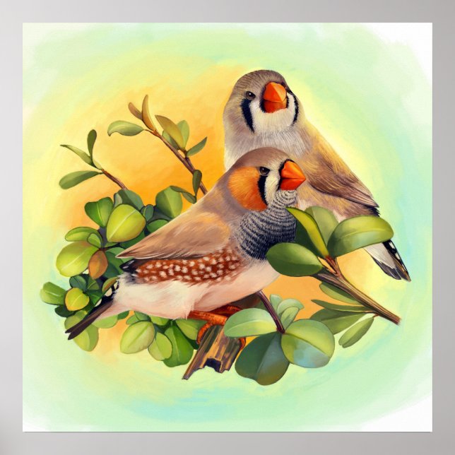 Zebra Finch realistisches Bild Poster (Vorne)