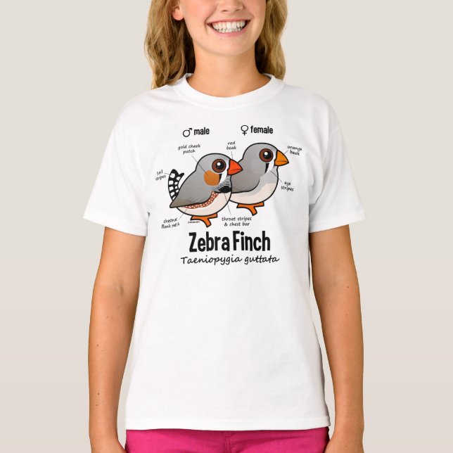 Zebra Finch Statistik T-Shirt (Vorderseite)