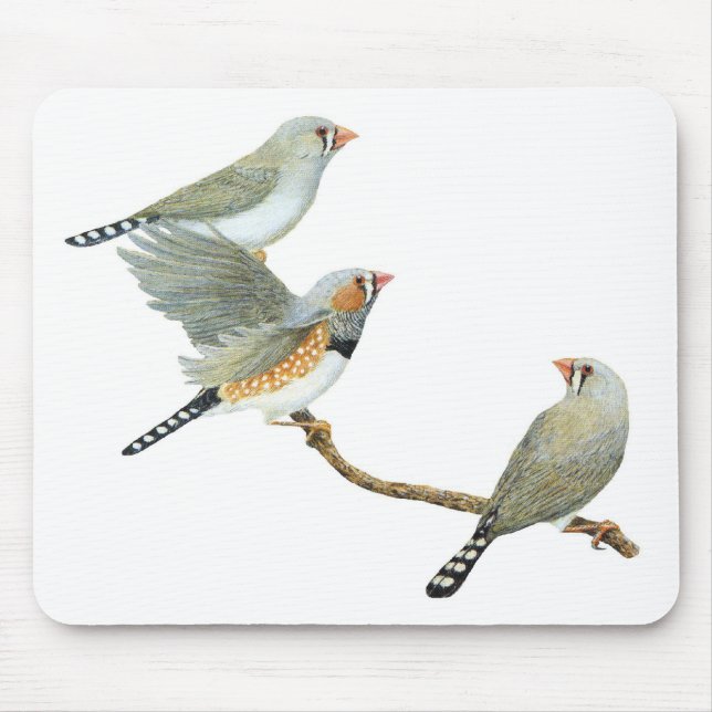 Zebra Finch Trio - Taeniopygia guttata Mousepad (Vorne)