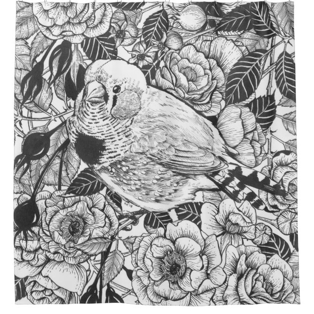 Zebra-Finch und Rose-Buschtinte zeichnend Duschvorhang (Vorderseite)