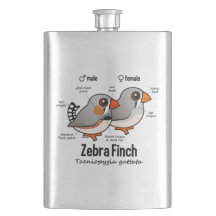 Zebra-Fink-Statistiken