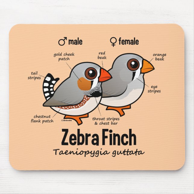 Zebra-Fink-Statistiken Mousepad (Vorne)