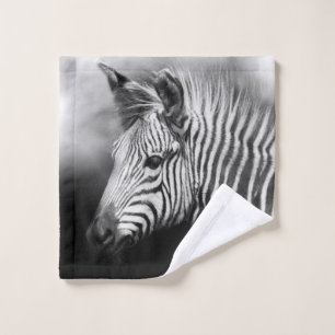 Zebra Foal