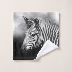 Zebra Foal