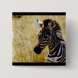 Zebra-Fohlentierbaby Button