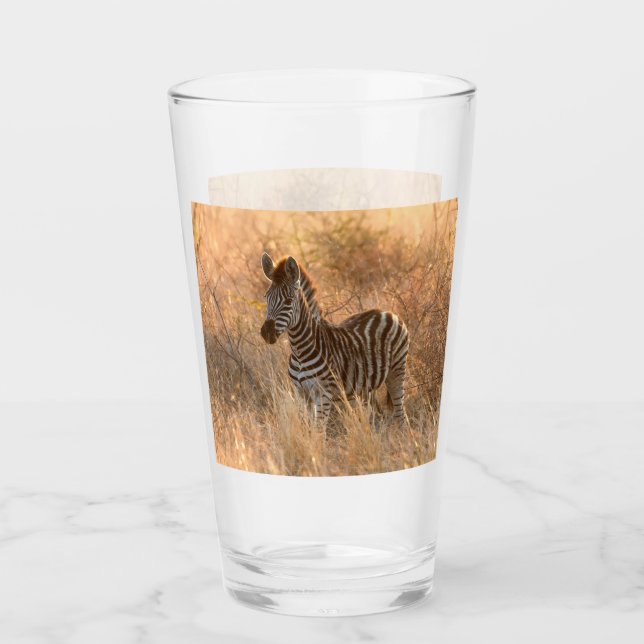 Zebra foto in Morgensonnenaufgang Foto Glas (Vorderseite)