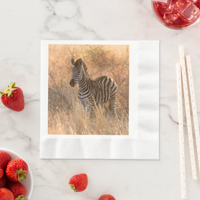 Zebra foto in Morgensonnenaufgang Foto Serviette (Beispiel)