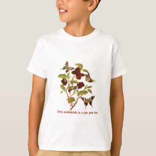 Zebra-Frack-Schmetterlinge auf Tatzen-Tatze T-Shirt