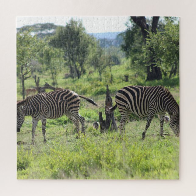 Zebra Freunde (Vertikal)