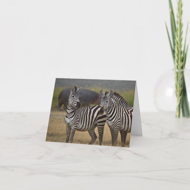 Zebra-Freundschaftskarte Karte (Vorderseite)
