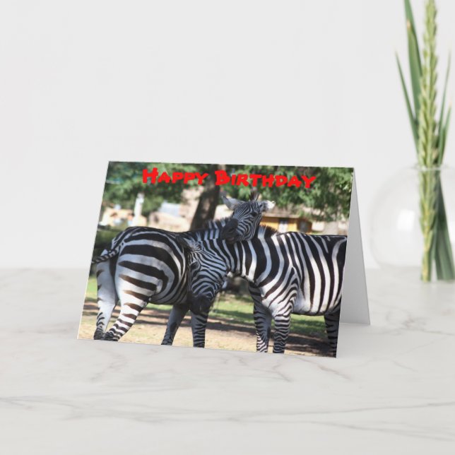 Zebra Friends Birthday Card Karte (Vorderseite)