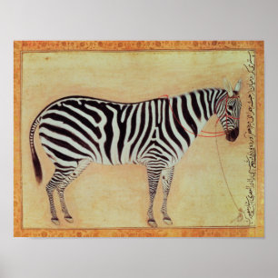 Zebra, from the "Minto Album", Mughal, 1621, Poster
