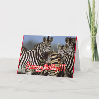 Zebra Geburtstag Karte