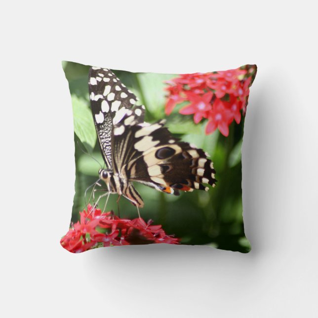 Zebra-gestreifter Schmetterling Kissen (Vorderseite)