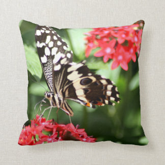 Zebra-gestreifter Schmetterling Kissen