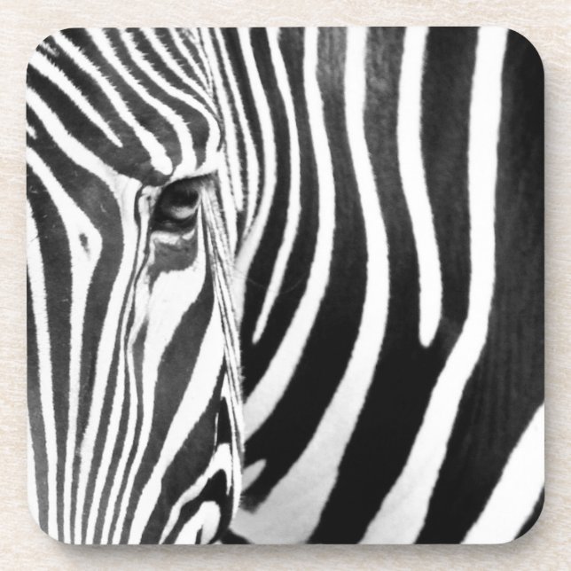Zebra Getränkeuntersetzer (Vorderseite)
