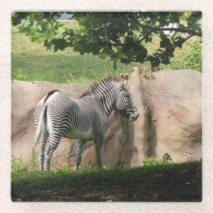 Zebra Glasuntersetzer