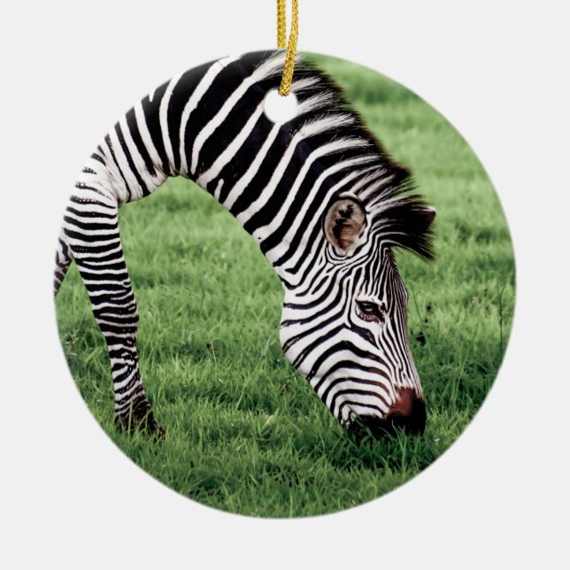 Zebra Grazing Keramik Ornament (Vorne)