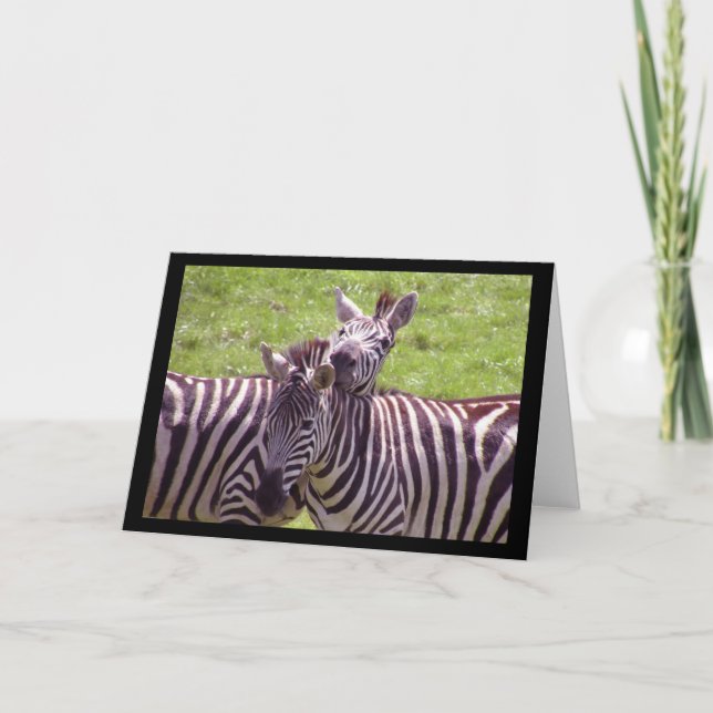 Zebra Grußkarte Karte (Vorderseite)