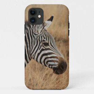 Zebra Head title_seo2