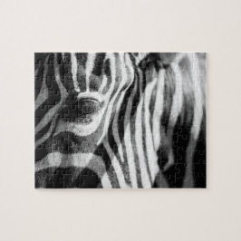Zebra herauf nahes