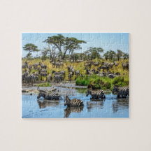 Zebra Herd im Wilden Jigsaw Puzzle